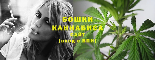 трава Беломорск