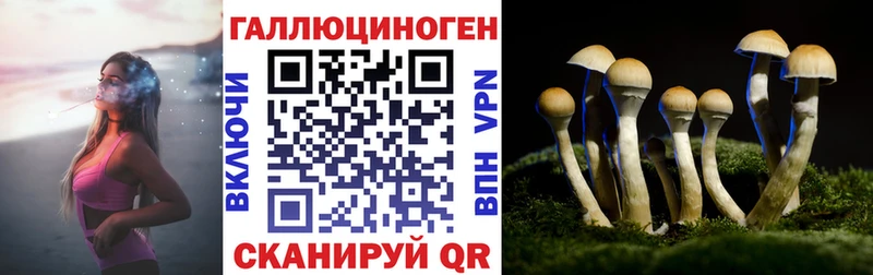 купить закладку  Первомайск  Псилоцибиновые грибы MAGIC MUSHROOMS 